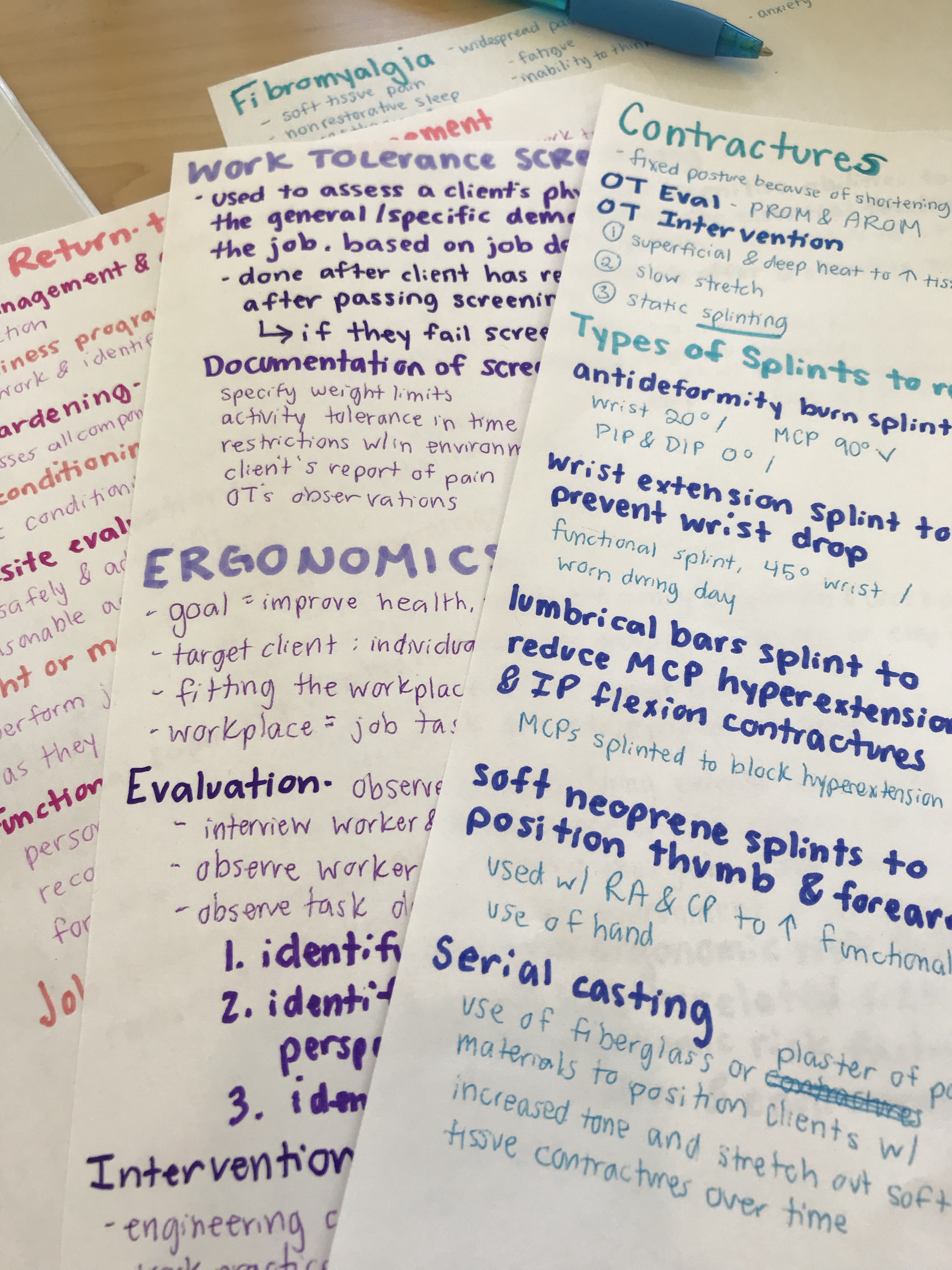 Board Study Notes How I Studied for the Boards – Becky B OT